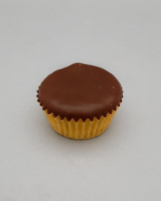 Kit Mini Cupcake Cenoura